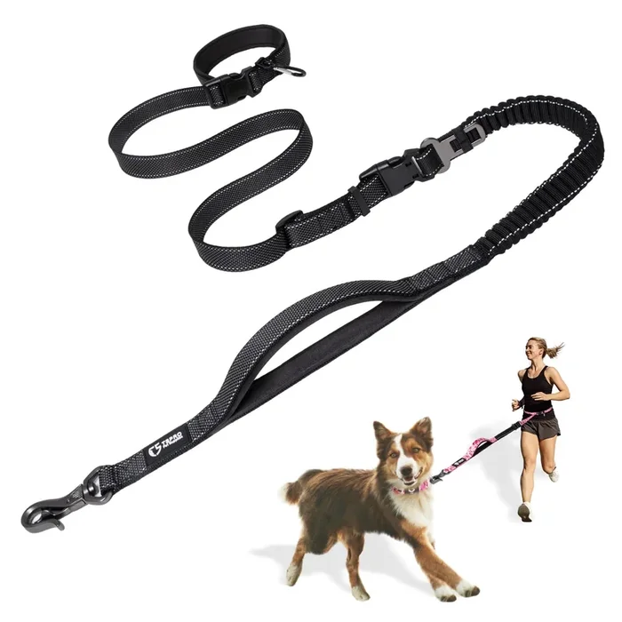 TSPRO Hands Free Dog Leash for Walking Running with Safety Car Seat Belt Shock Absorbing Bungee Leash with Padded Handle (Black)