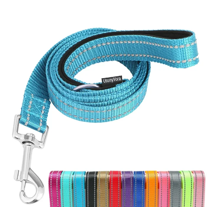 Usunyvora Reflective Nylon Dog Leash For Walking,Strong Dog Leash With Padded Handle For Small And Medium Dogs,5 Ft,Sky Blue