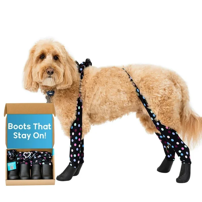 Walkee Paws New Deluxe Easy-On Dog Boot Leggings, Protects From Hot Pavement, Summer Showers, Wet Surfaces, Allergens (Confetti,