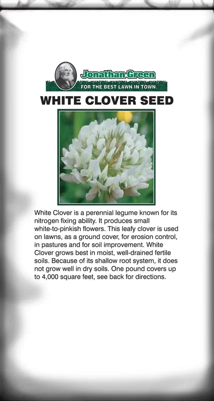White Clover Seed