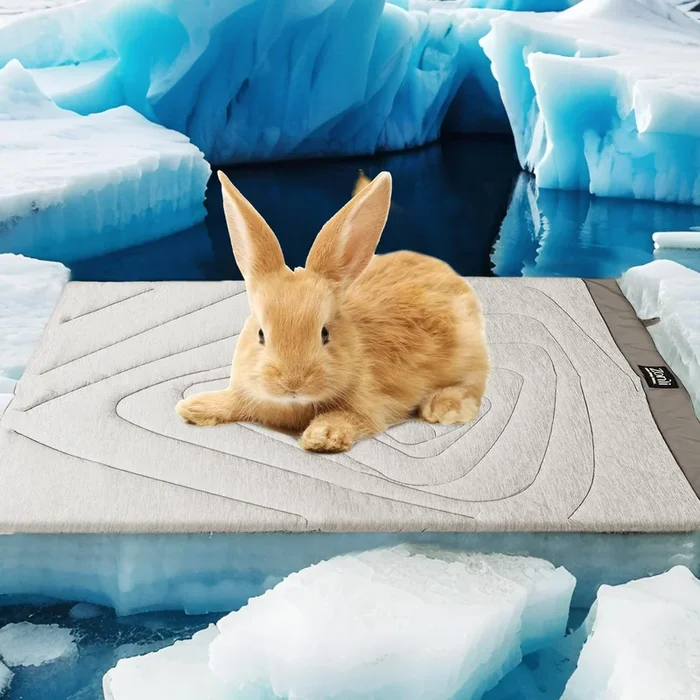 Zonli Dog Cooling Mat, 20” X 16”Small, Waterproof Cooling Pad For Cats & Rabbits, Portable & Durable Pet Mat For Crate, Trunk,